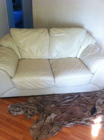 Leather upholstery cleaning 2-4