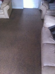 living room carpet cleaning  after
