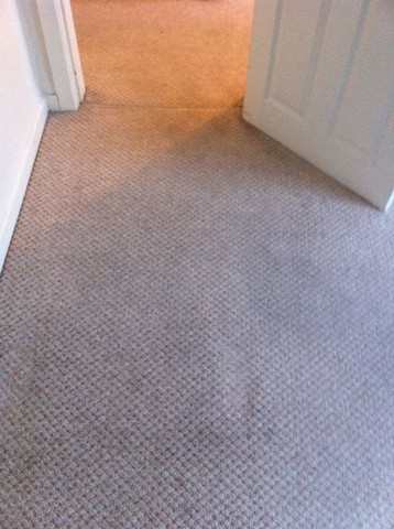carpet cleaning after 1