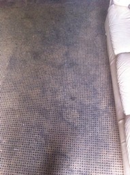 living room carpet cleaning before