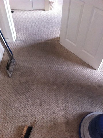 carpet cleaning before 1