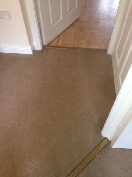 carpet cleaning after 1-2