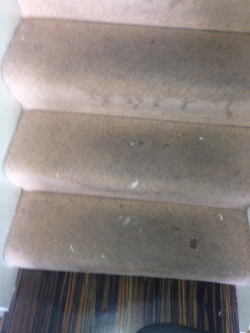 staircarpet-before-cleaning