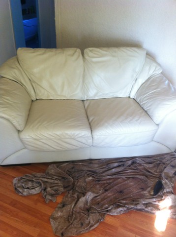 Leather suite upholstery cleaning after