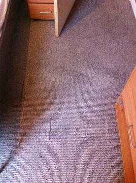 bedroom carpet cleaning after