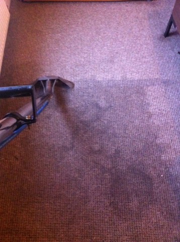 carpet cleaning before n after