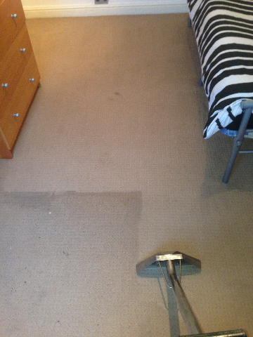 carpet cleaner cleaning 1