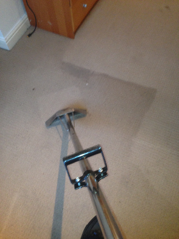 carpet cleaner cleaning 2