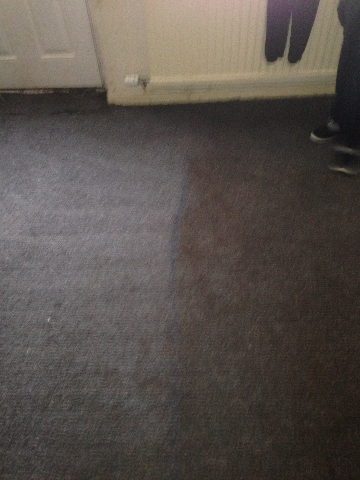carpet cleaning before n after 2
