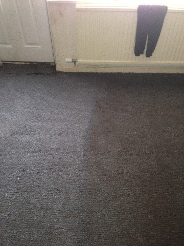 carpet cleaning before n after