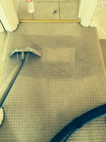 carpet-cleaning-pic1