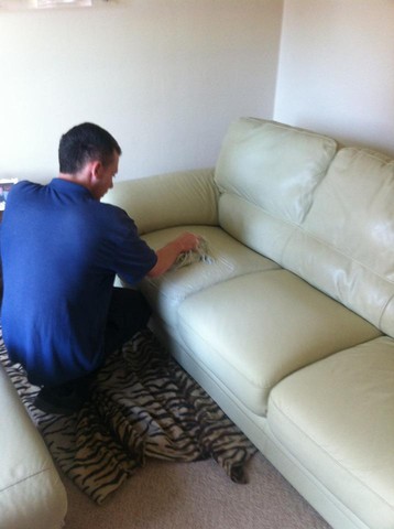 leather suite cleaning