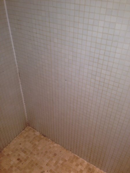 Tile and Grout Cleaning Shower 1