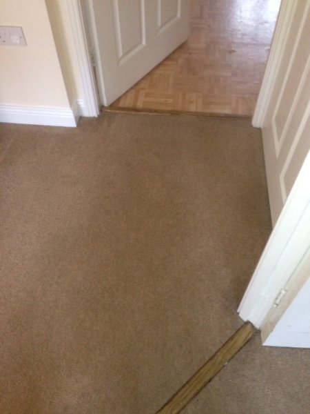 carpet cleaning after