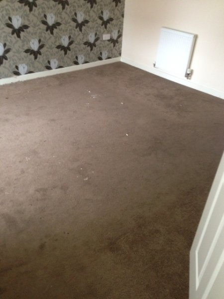 Carpet cleaning before 2-1