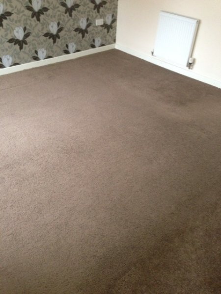 Carpet cleaning after 2-2