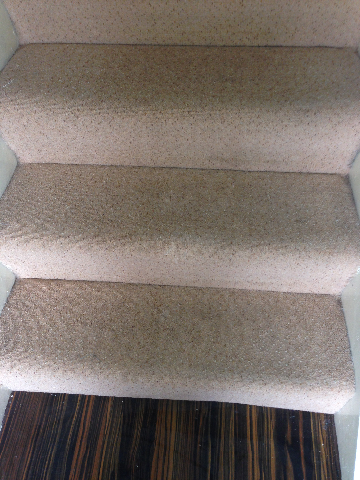 staircarpet after cleaning