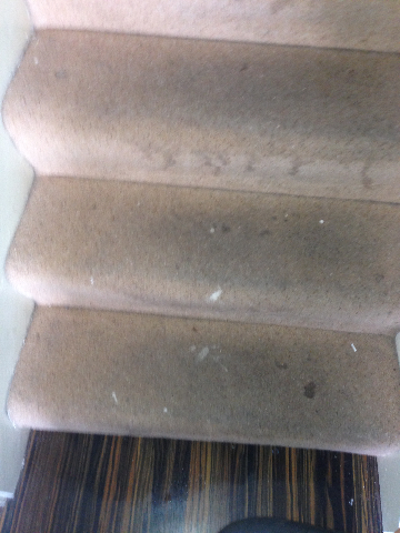 staircarpet before cleaning
