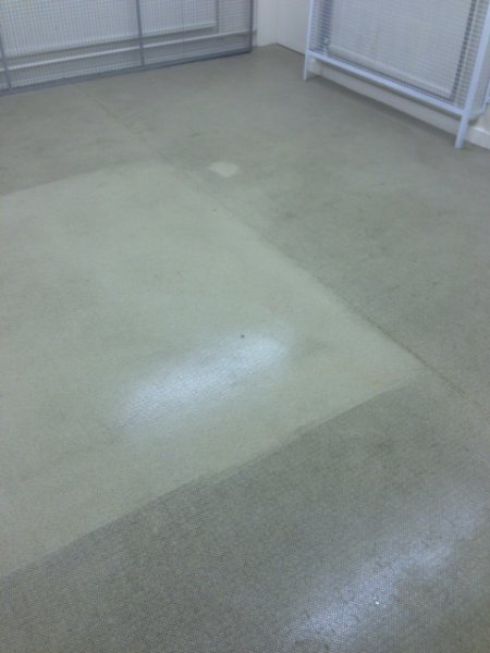 Commercial Office Carpet Cleaning Before n After