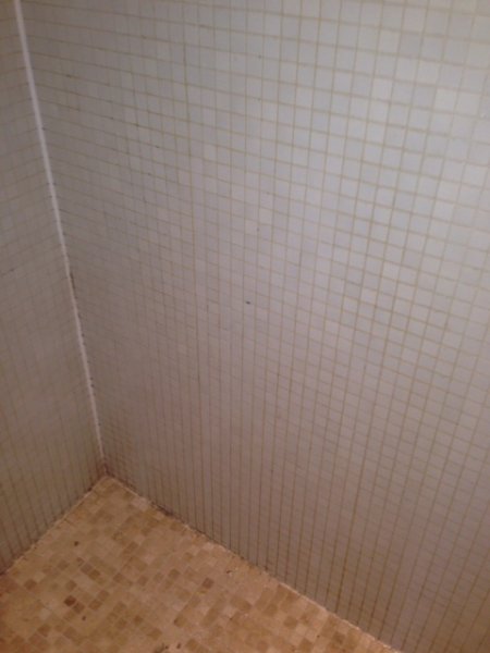 Tile and Grout Cleaning 1