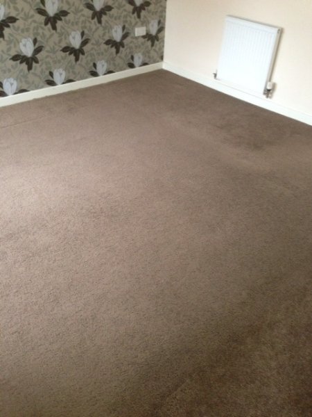 Carpet Cleaning After 2