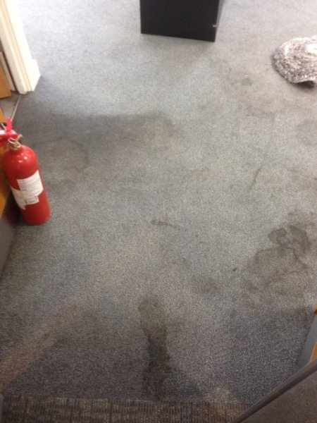 Office Carpet Cleaning 1 Before 4
