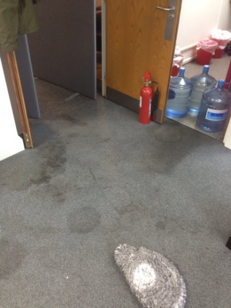 Office Carpet Cleaning 1 Before 5