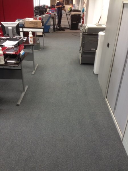 Office Carpet Cleaning 1 After 3